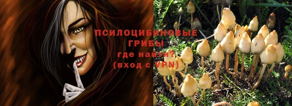 ешки Куйбышев