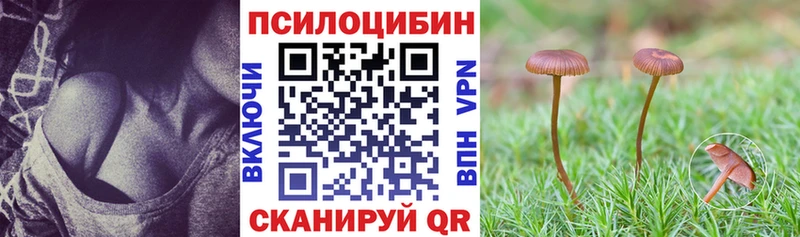 купить наркотик  Ноябрьск  Псилоцибиновые грибы Psilocybe 