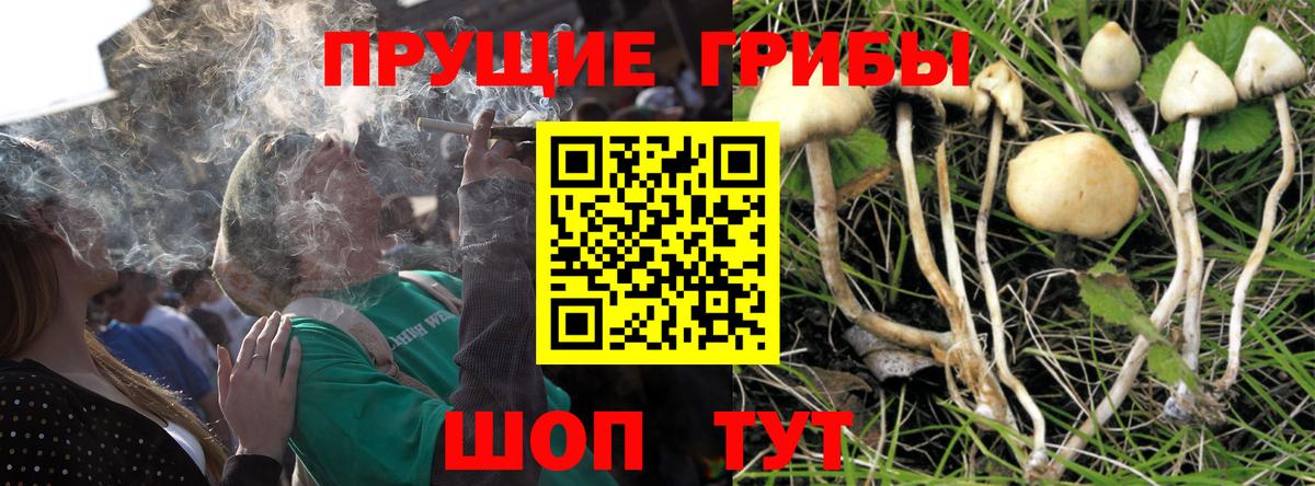 Псилоцибиновые грибы прущие грибы  Псилоцибиновые грибы GOLDEN TEACHER  Ноябрьск  Вход с VPN 